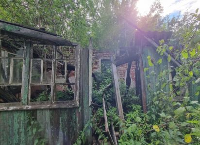 Деревня Плещеево 15