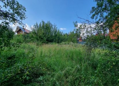 Деревня Плещеево 15